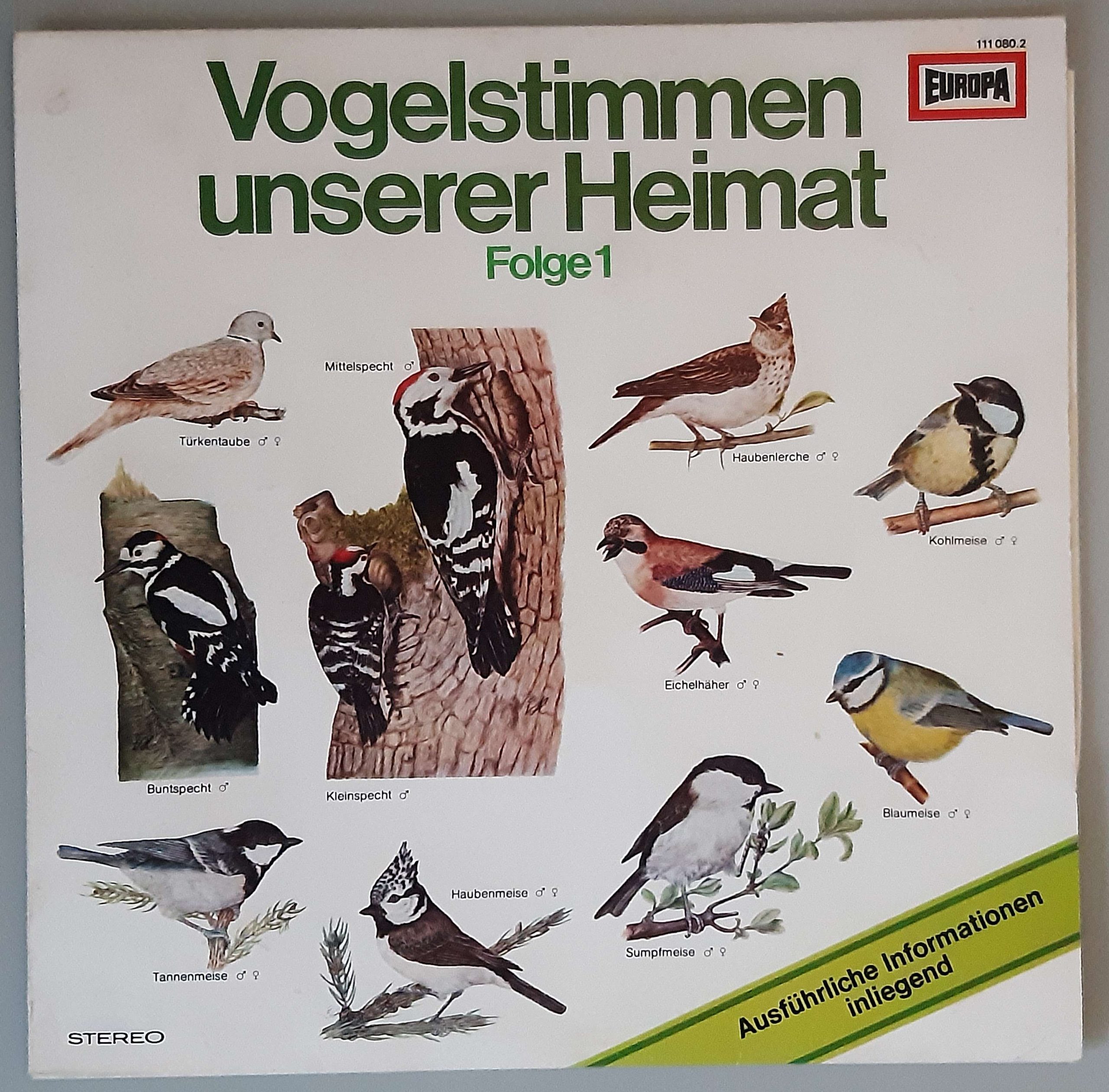 Vogelstimmen