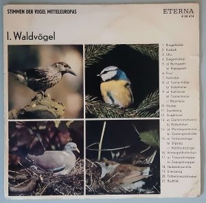 Waldvögel