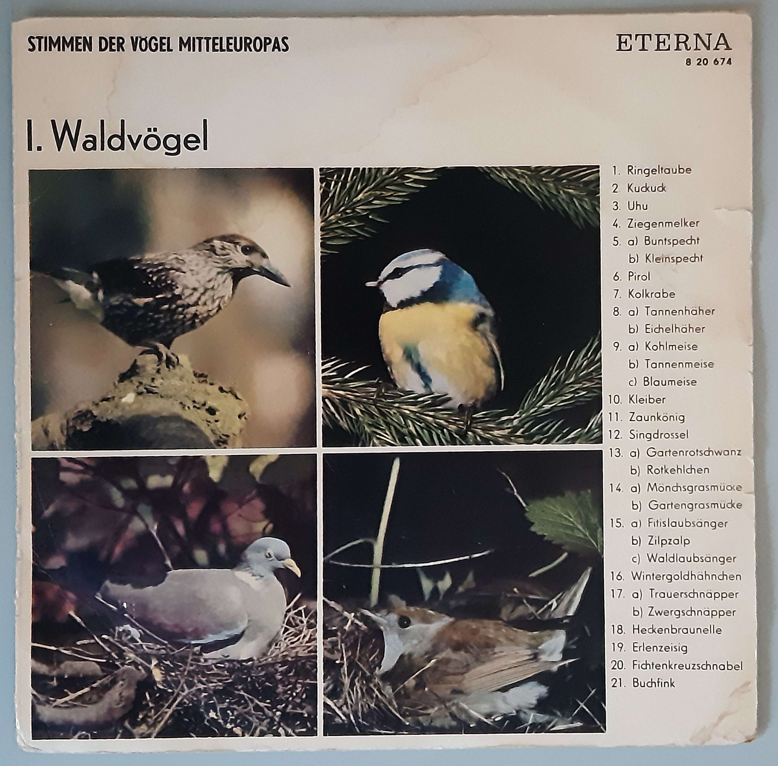 Waldvögel