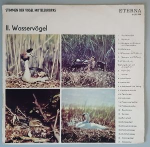 Wasservögel