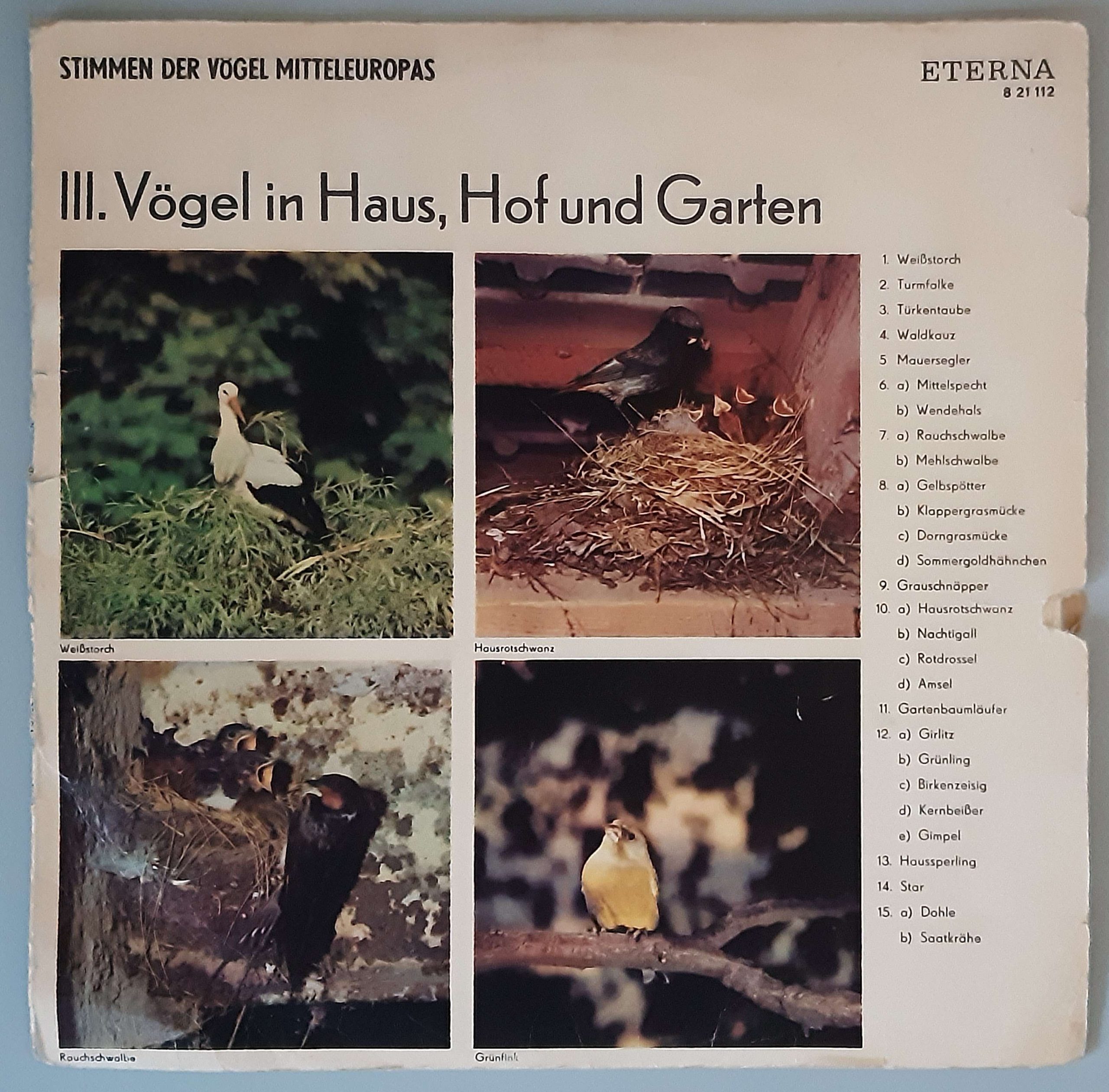 Vögel In Haus, Hof Und Garten