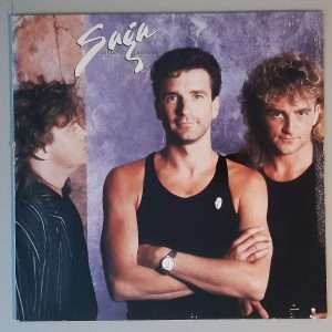 Saga – "Wildest Dreams" (Bonaire – 208 602) Cover Vorderseite