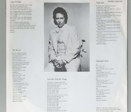 John Stewart – "Dream Babies Go Hollywood" (RSO – 2394 255) Schutzhülle John Stewart – "Dream Babies Go Hollywood" (RSO – 2394 255) Schutzhülle