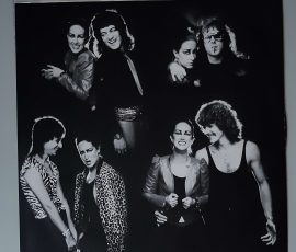 Grace Slick – "Welcome To The Wrecking Ball" (RCA – PL13851) Schutzhülle Grace Slick – "Welcome To The Wrecking Ball" (RCA – PL13851) Schutzhülle