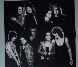 Grace Slick – "Welcome To The Wrecking Ball" (RCA – PL13851) Schutzhülle Grace Slick – "Welcome To The Wrecking Ball" (RCA – PL13851) Schutzhülle