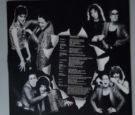 Grace Slick – "Welcome To The Wrecking Ball" (RCA – PL13851) Schutzhülle2 Grace Slick – "Welcome To The Wrecking Ball" (RCA – PL13851) Schutzhülle2