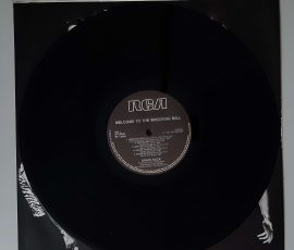 Grace Slick – "Welcome To The Wrecking Ball" (RCA – PL13851) Platte Seite 1 Grace Slick – "Welcome To The Wrecking Ball" (RCA – PL13851) Platte Seite 1