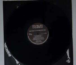 Grace Slick – "Welcome To The Wrecking Ball" (RCA – PL13851) Platte Seite 2 Grace Slick – "Welcome To The Wrecking Ball" (RCA – PL13851) Platte Seite 2