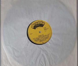 Various – "30 Golden Guitar Hits" (Arcade – ADE G 33) Schutzhülle Various – "30 Golden Guitar Hits" (Arcade – ADE G 33) Schutzhülle