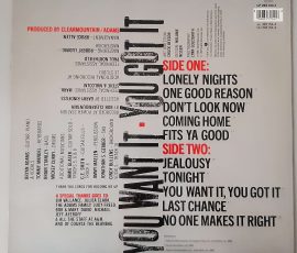 Bryan Adams – "You Want It, You Got It" (A&M Records – 393 154-1) Cover Rückseite Bryan Adams – "You Want It, You Got It" (A&M Records – 393 154-1) Cover Rückseite