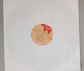 Bee Gees – "Bee Gees" Goldene Serie International (Polydor – 63 974) Schutzhülle2 Bee Gees – "Bee Gees" Goldene Serie International (Polydor – 63 974) Schutzhülle2