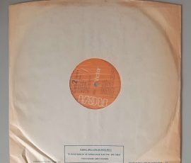 Al Stewart – "Year Of The Cat" (RCA Victor – PL 25042) Schutzhülle2