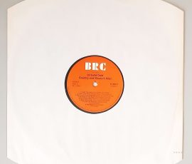 Various – "32 Solid Gold Country And Western Hits!" (BRC – 31 064 9) Schutzhülle Various – "32 Solid Gold Country And Western Hits!" (BRC – 31 064 9) Schutzhülle