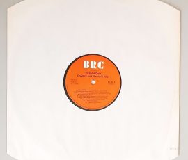 Various – "32 Solid Gold Country And Western Hits!" (BRC – 31 064 9) Schutzhülle Various – "32 Solid Gold Country And Western Hits!" (BRC – 31 064 9) Schutzhülle
