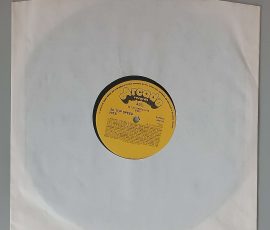 Various – "20 Top Speed Hits, 20 Original Artists...." (Arcade Records – ADE G5) Schutzhülle Various – "20 Top Speed Hits, 20 Original Artists...." (Arcade Records – ADE G5) Schutzhülle