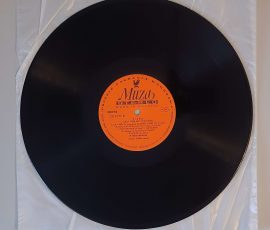 Flying Saucers – "Diana And Other Hits From 60-ties" (Polskie Nagrania Muza SX 1677) Platte Seite 2 Flying Saucers – "Diana And Other Hits From 60-ties" (Polskie Nagrania Muza SX 1677) Platte Seite 2