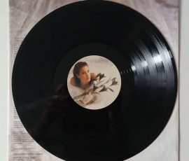 Grazia di Michele - "L'Amore È Un Pericolo" (WEA – 244 631-1) Platte Seite 1 Grazia di Michele - "L'Amore È Un Pericolo" (WEA – 244 631-1) Platte Seite 1