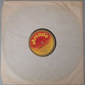 Various – "Hit Lights '79" (Arcade – ADE G 50) Schutzhülle Various – "Hit Lights '79" (Arcade – ADE G 50) Schutzhülle