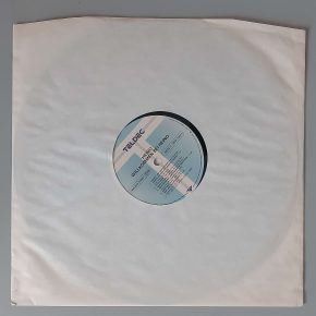 Heino – "Willkommen Bei Heino" (TELDEC – 9031-71321-1 AP) Schutzhülle Heino – "Willkommen Bei Heino" (TELDEC – 9031-71321-1 AP) Schutzhülle